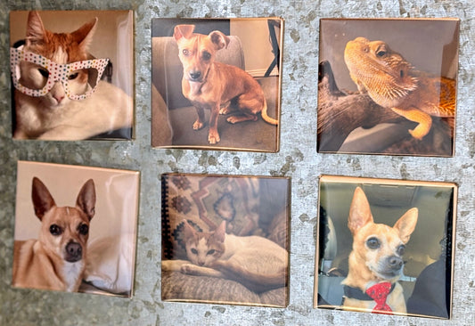 6 Pack Custom Photo Magnet