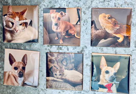 6 Pack Custom Photo Magnet